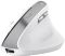Мышь Trust Bayo II Ergonomic, WL, белый
