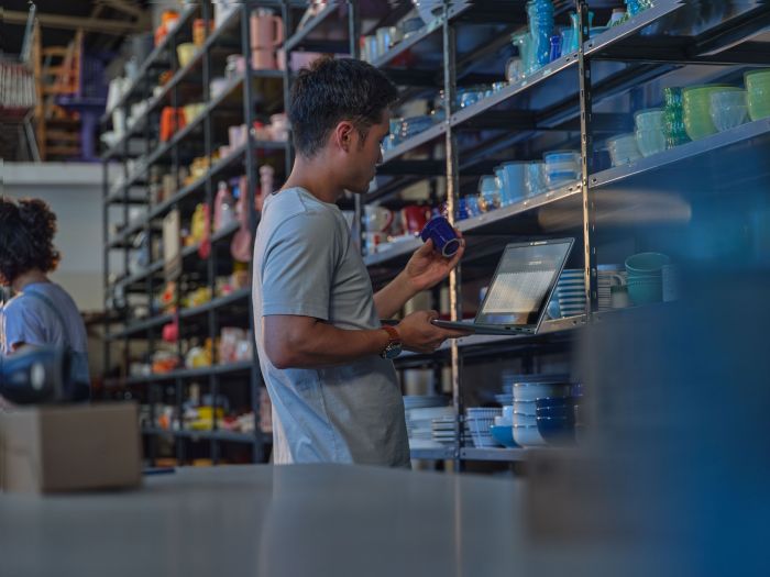 HP Notebook ProBook 4-G1i 14" WUXGA IPS AG, Intel U5-225H, 24GB, F1TB, NVD3050-4, Win11P, silver